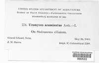 Image Associated With the Occurence